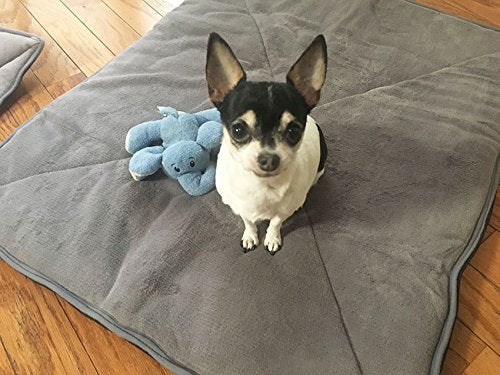 puppy bed good price durable hand wash mylar technology protect from cold floor