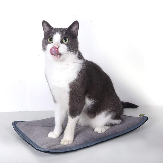 Thermal pet bed mat for dogs puppies kittens and cats blanket calming and for crates