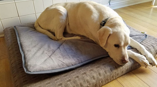 dog thermal mat bed comfortable durable lined bed