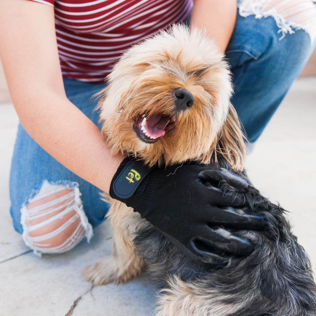 rubber gentle deshedding gloves tool for dogs cats and horses