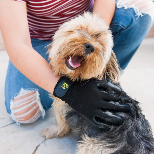 rubber gentle deshedding gloves tool for dogs cats and horses