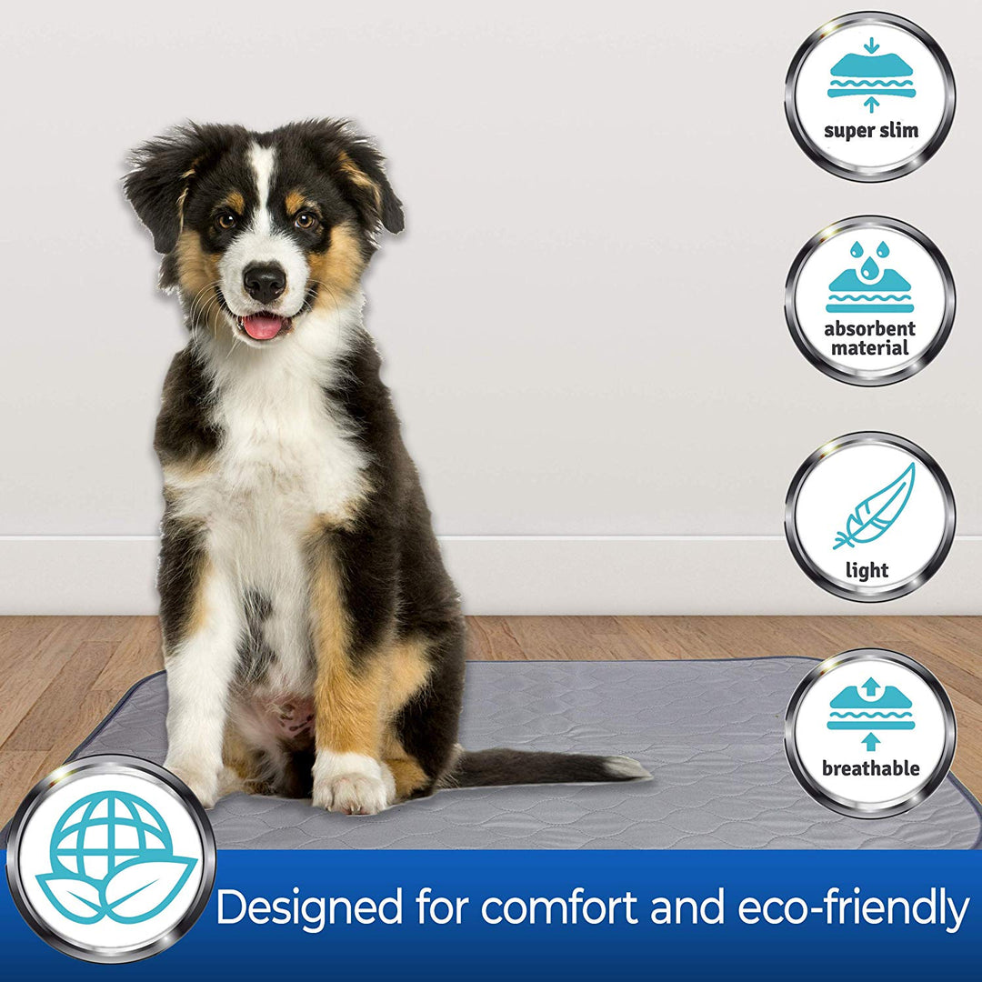 Good for all size dogs from older to younger dogs and puppies