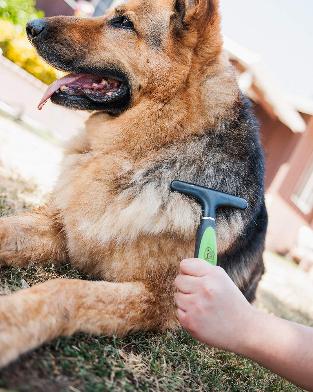 Professional Grooming Brush Sets with Sharp Stainless Steel Structure for Small Medium & Large Dogs - Pet Magasin