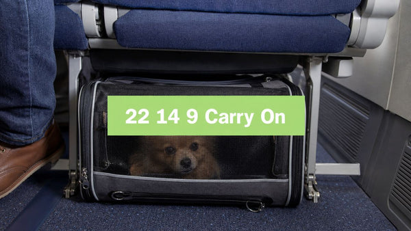 22 14 9 Carry on: A Pet Owner's Guide to Airline Rules