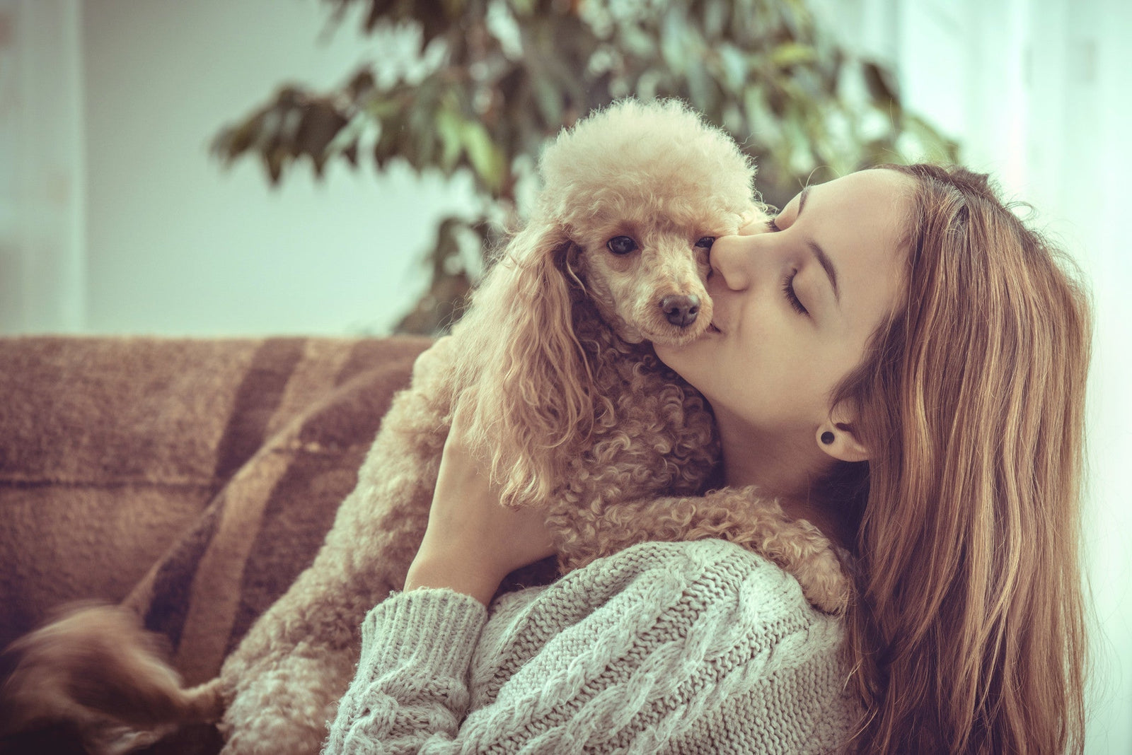 Great Strategies on How to Combat Your Pet's Bad Breath