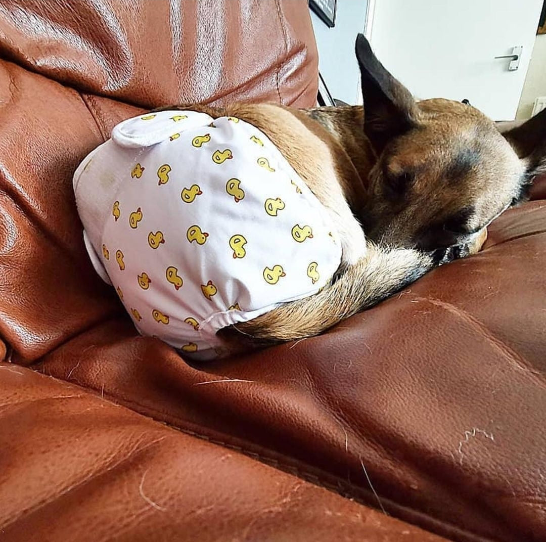 Why You Should Go Reusable