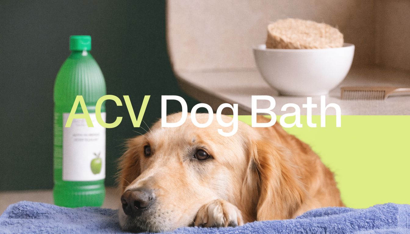 Apple Cider Vinegar Bath for Dogs: A Complete Guide