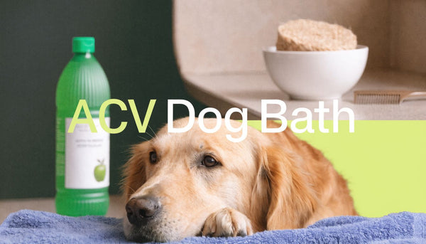 Apple Cider Vinegar Bath for Dogs: A Complete Guide