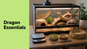 Bearded Dragon Supplies: Your Essential First-Time Setup