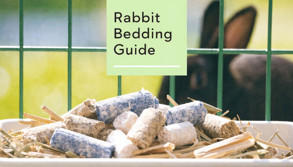 Bedding for Rabbits: A Complete 2026 Guide to Safety