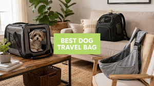 Best Dog Travel Bag: A 2026 Buyer's Guide