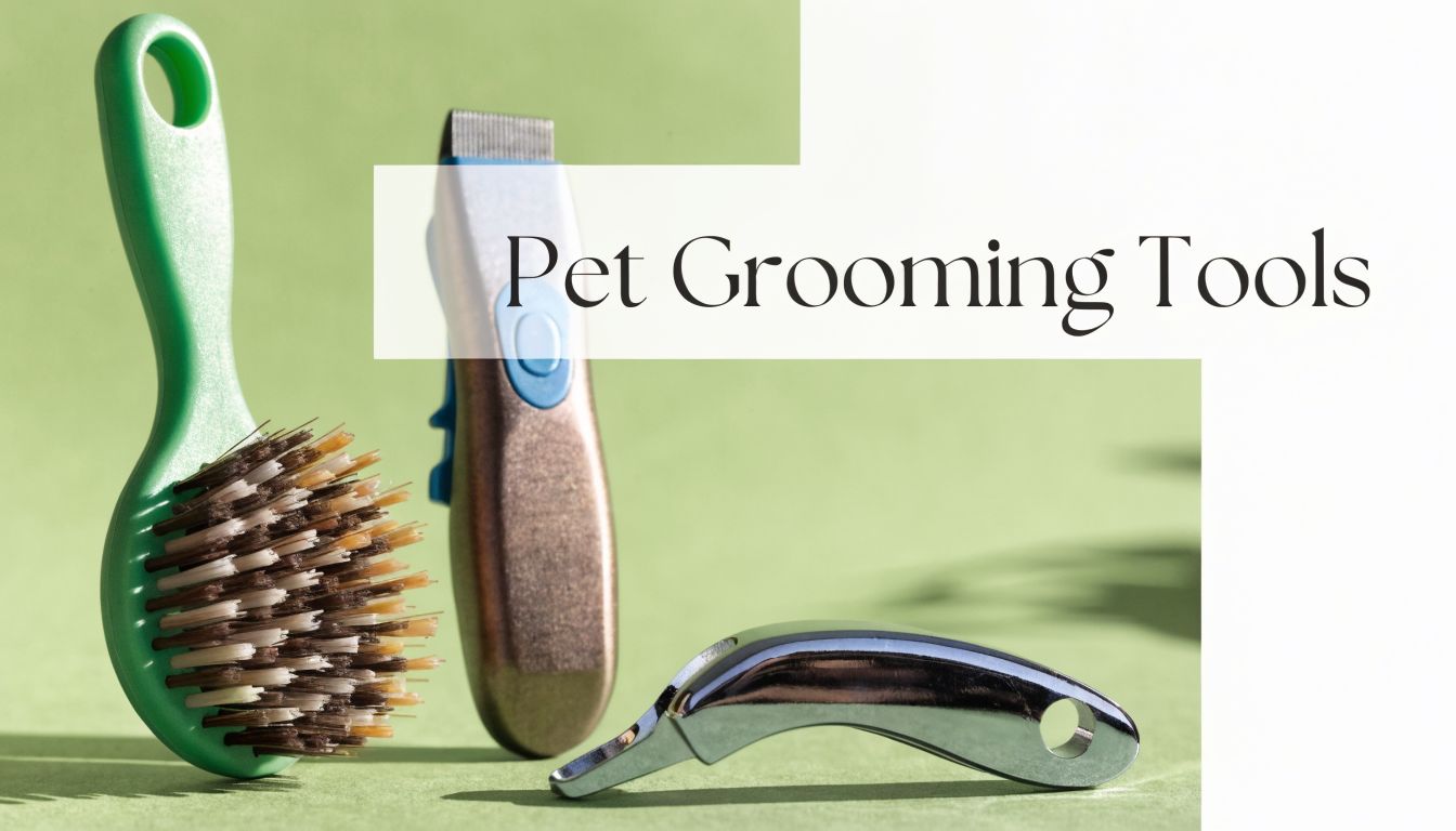Best Pet Grooming Tools: A Complete Guide for 2026