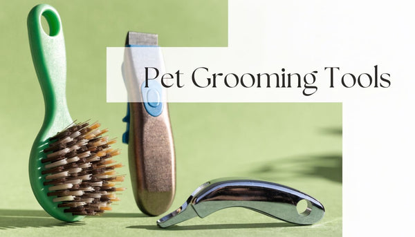 Best Pet Grooming Tools: A Complete Guide for 2026