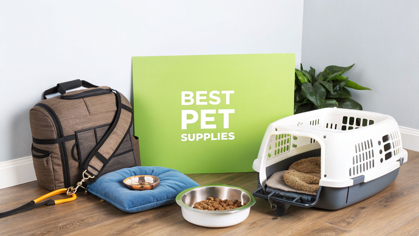 Your Guide to the Best Pet Supplies for 2026