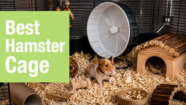 Finding the Best Syrian Hamster Cage in 2026