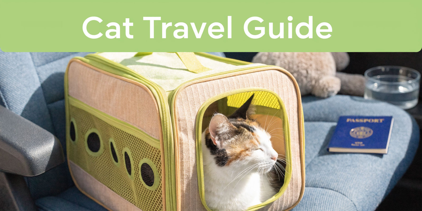 Best Way to Travel with Cats: The Low-Stress Guide