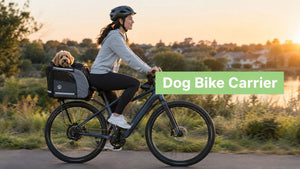 Bike Carrier for Dogs: A Practical Buyer's Guide
