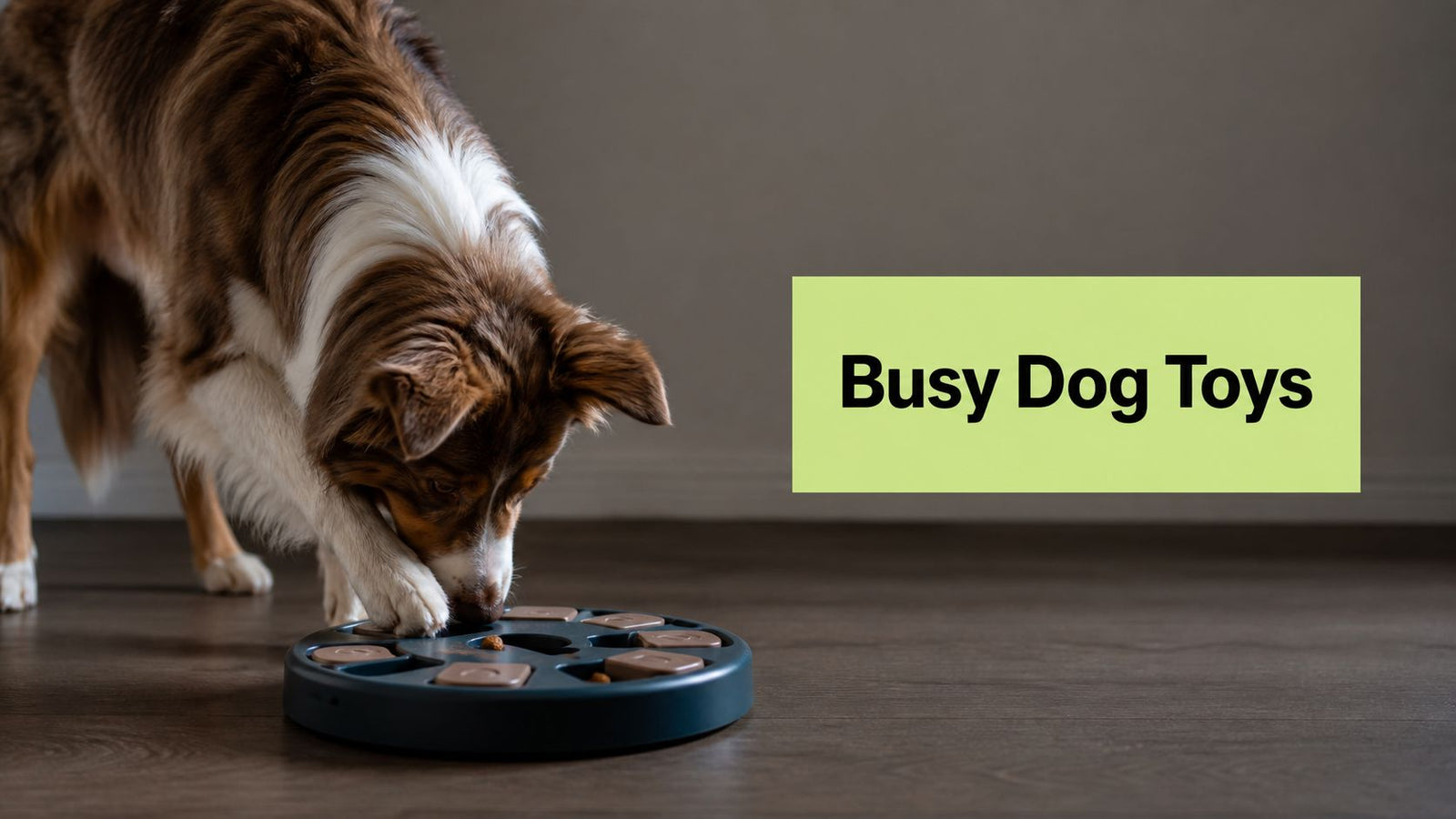 Busy Dog Toys: Your Guide to a Happier, Calmer Pet