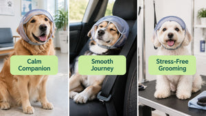 Calming Cap for Dogs: What It Does and When to Use One
