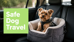 Car Seat for Small Dogs: A Complete Safety Guide