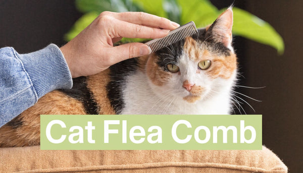 Cat Flea Comb: A Complete How-To Guide for Pet Owners