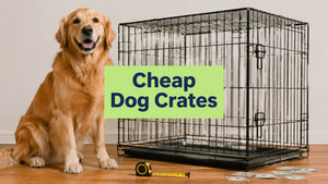 Cheap Dog Crates for Large Dogs: A Smart Buyer's Guide