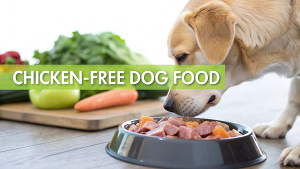 Your Practical Guide to Chicken Free Dog Food