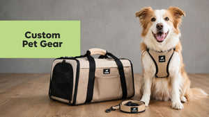 Custom Pet Products That Actually Work for Your Dog