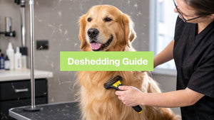 Deshedding Treatment for Dogs: Your Ultimate 2026 Guide