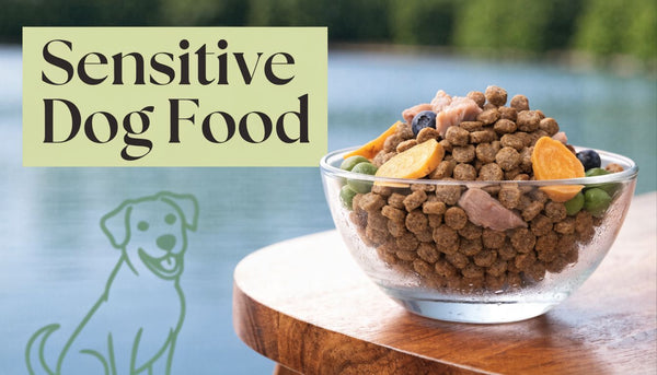 Dog Food for Dogs with Sensitive Stomachs: A Guide
