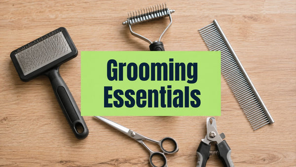 Dog Grooming Equipment List: What You Actually Need