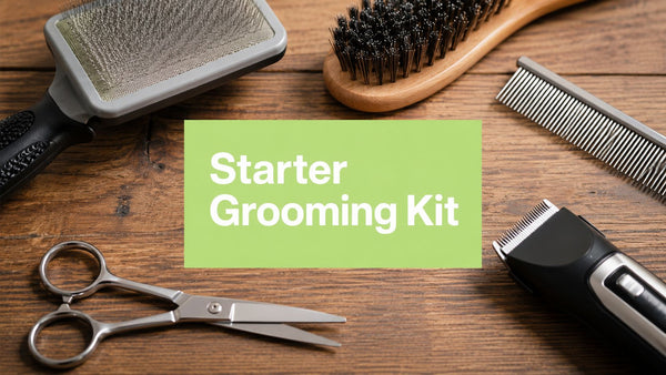 Dog Grooming Tools for Beginners: A Practical Starter Guide