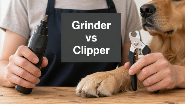 Dog Nail Grinder vs Clipper: Complete Guide for 2026