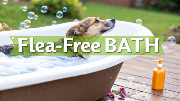 A Pet Parent's Guide to Dog Shampoo for Fleas