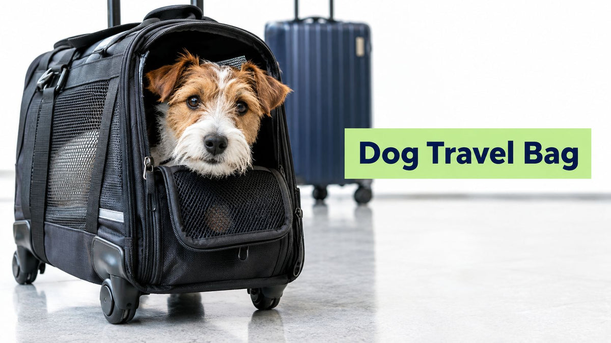 Dog Travel Bag on Wheels: The Complete 2026 Guide