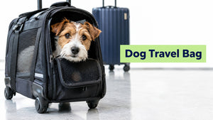 Dog Travel Bag on Wheels: The Complete 2026 Guide