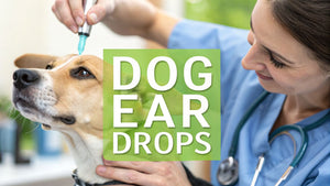A Pet Owner's Guide to Ear Drops for Dogs