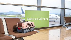 Best Pet Carriers for Air Travel: A Practical Guide