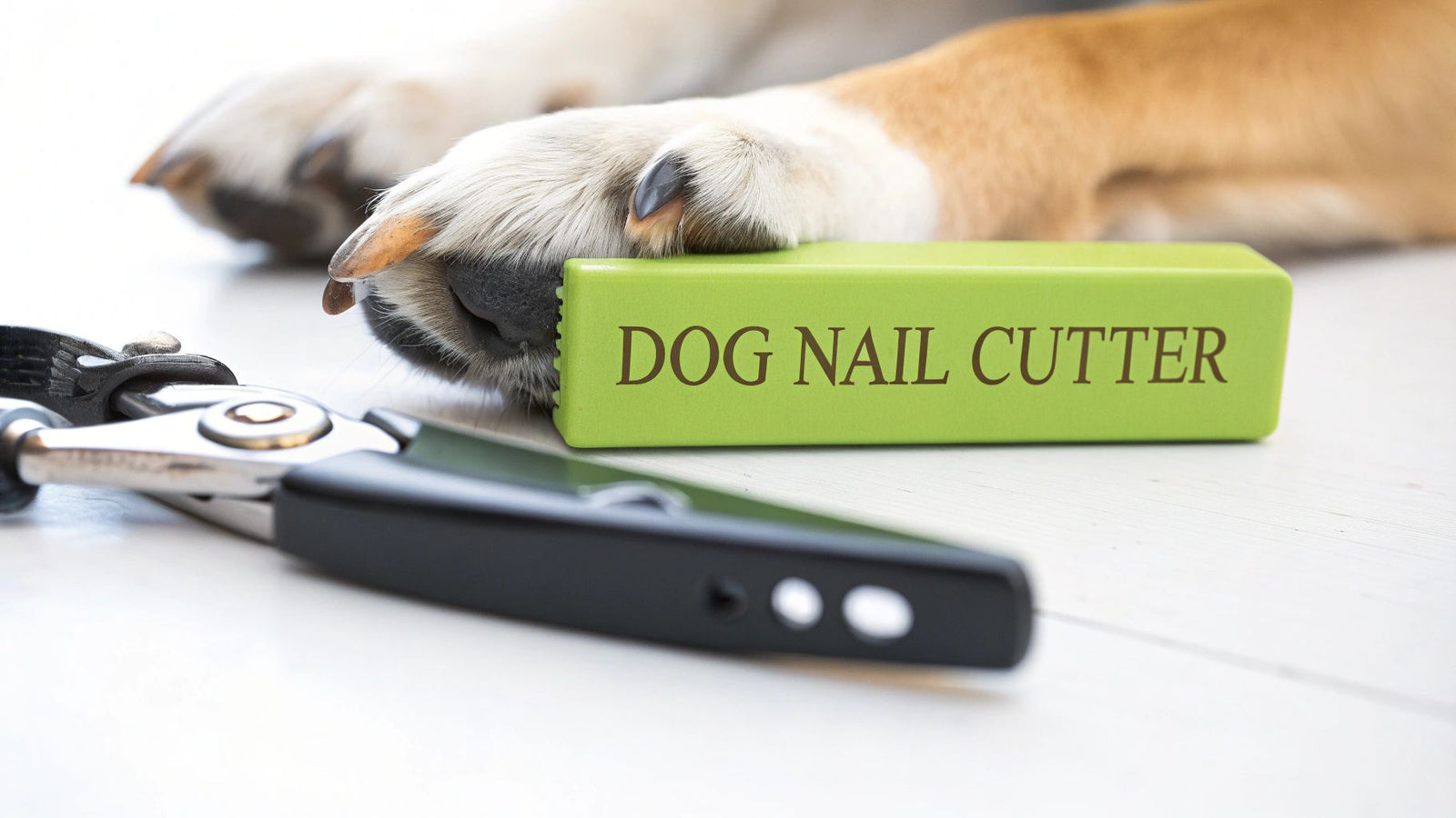A Practical Guide to Choosing and Using a Dog Nail Cutter