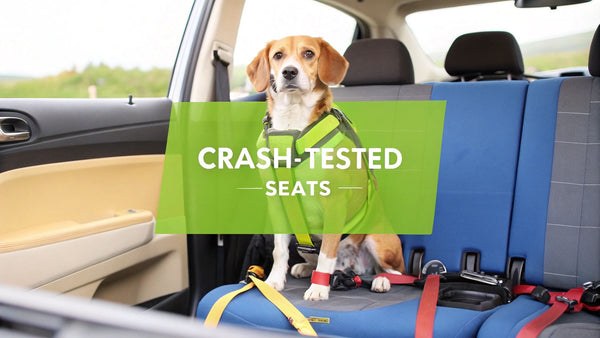 Dog Car Seat Reviews: Your Guide to a Safer Ride