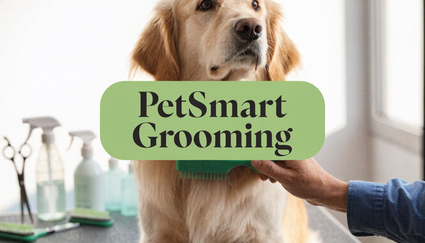 Grooming at PetSmart: An Ultimate Guide for Pet Parents