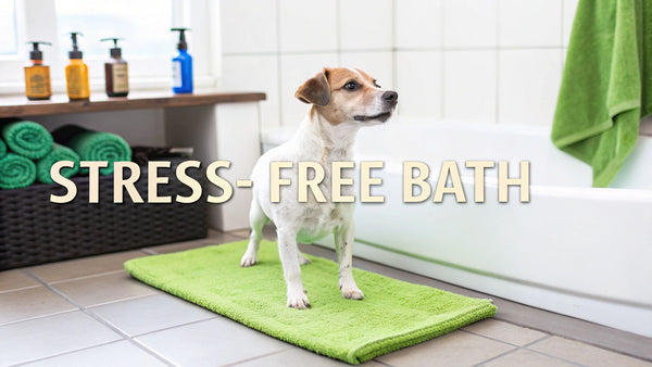 How to Bathe a Dog Properly for a Stress-Free Clean