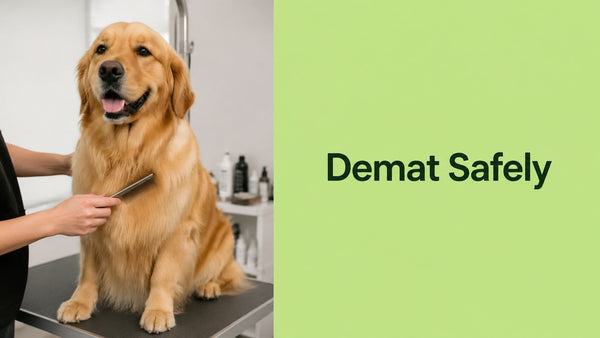 How to Demat a Dog Safely a Step-by-Step Guide