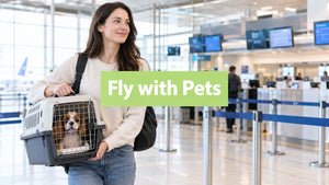 How to Fly with Pets Without Stress or Surprises