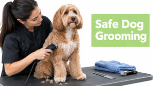 How to Groom Dog with Clippers: A Safe Step-By-Step Guide