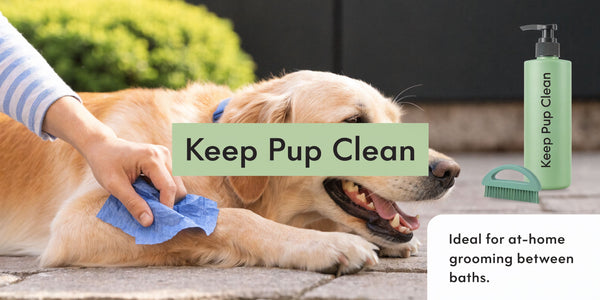 How to keep dog clean between baths: Keep Dog Clean Between