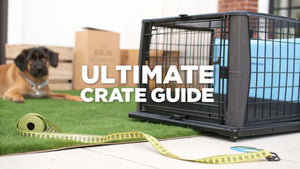 Your Actionable Guide to Choosing the Right Large Pet Crate