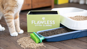 Your Ultimate Guide to Flawless Litter Box Cleaning