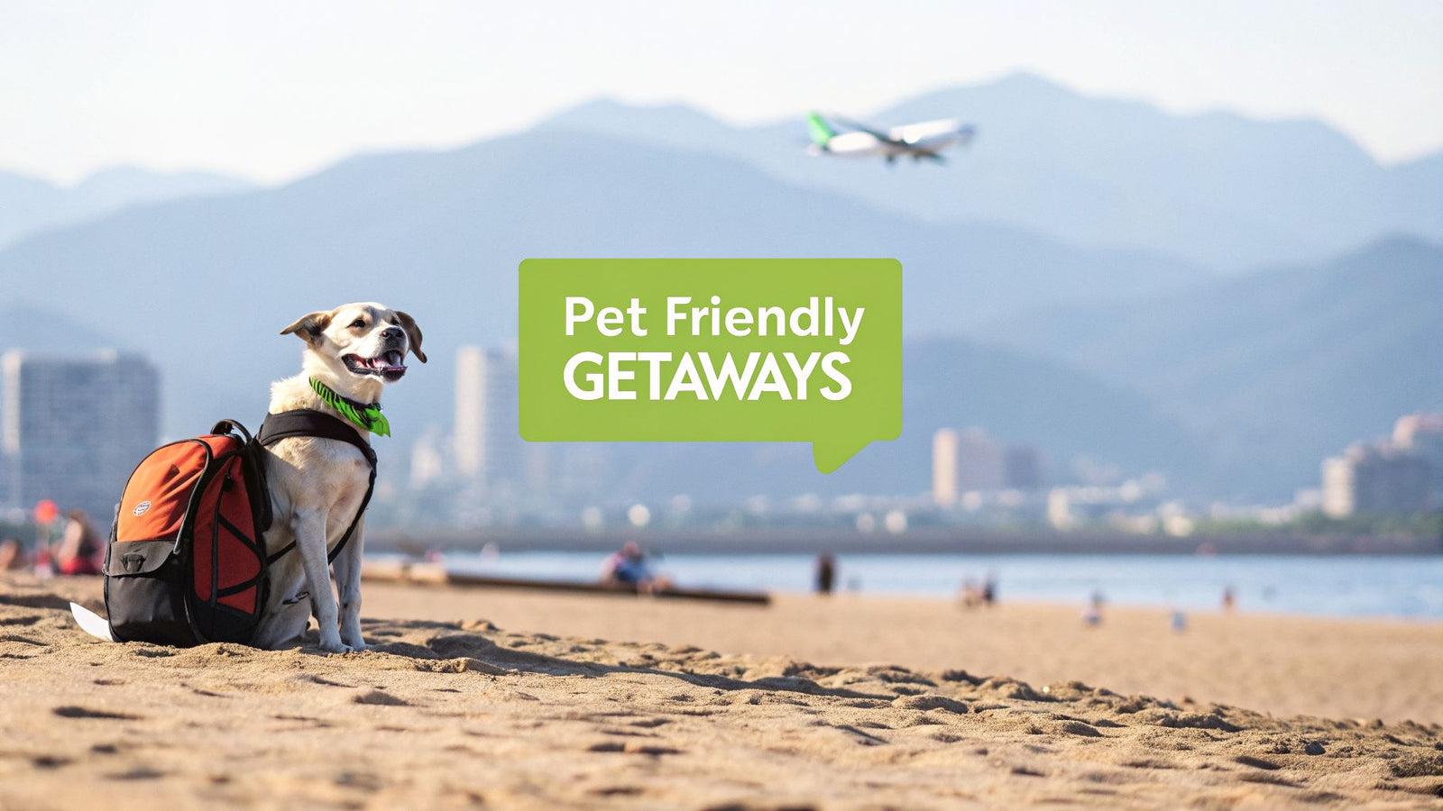 Top 12 Pet Friendly Vacation Destinations for 2026