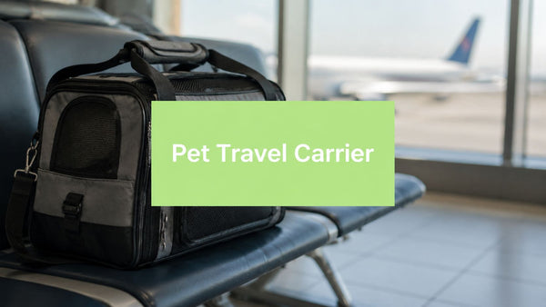 Best Pet Travel Carrier: 2026 Guide